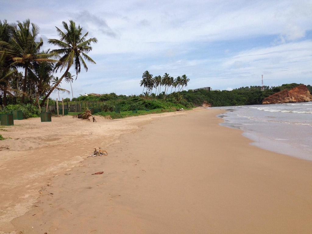 Relax Beach Resort Weligama Exteriér fotografie